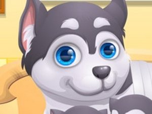 Cute Puppy Pet Doctor Online Game