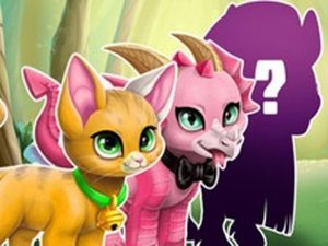 Magical Pet Designer