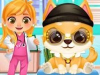 HoneyBerry Puppy Care Adventure