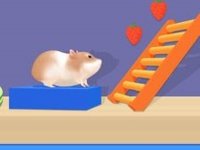 Hamster Maze Puzzle Journey