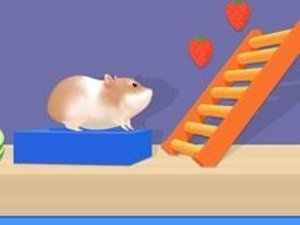 Hamster Maze Puzzle Adventure