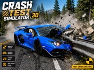 Crash Test Simulator 3D