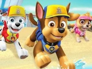 Paw Patrol Sea Patrol Adventure
