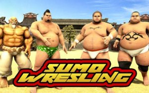 Sumo Wrestling Game Online