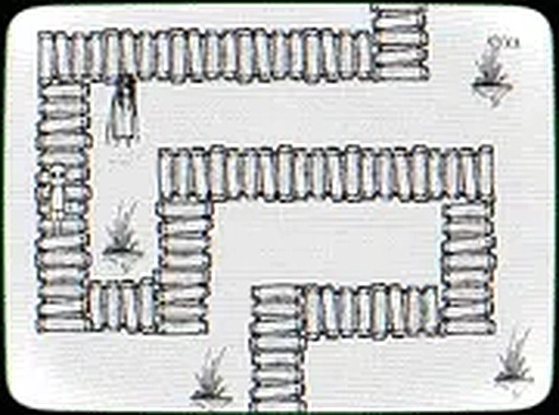 Pale Expanse Riddle Trek
